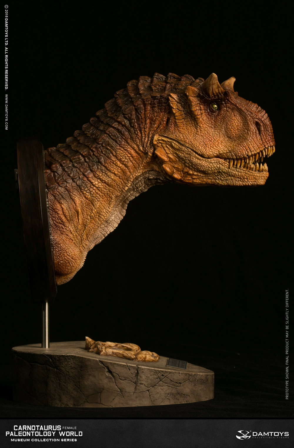 Carnotaurus (female) head statue, collector's item - MUS006A/B image 6