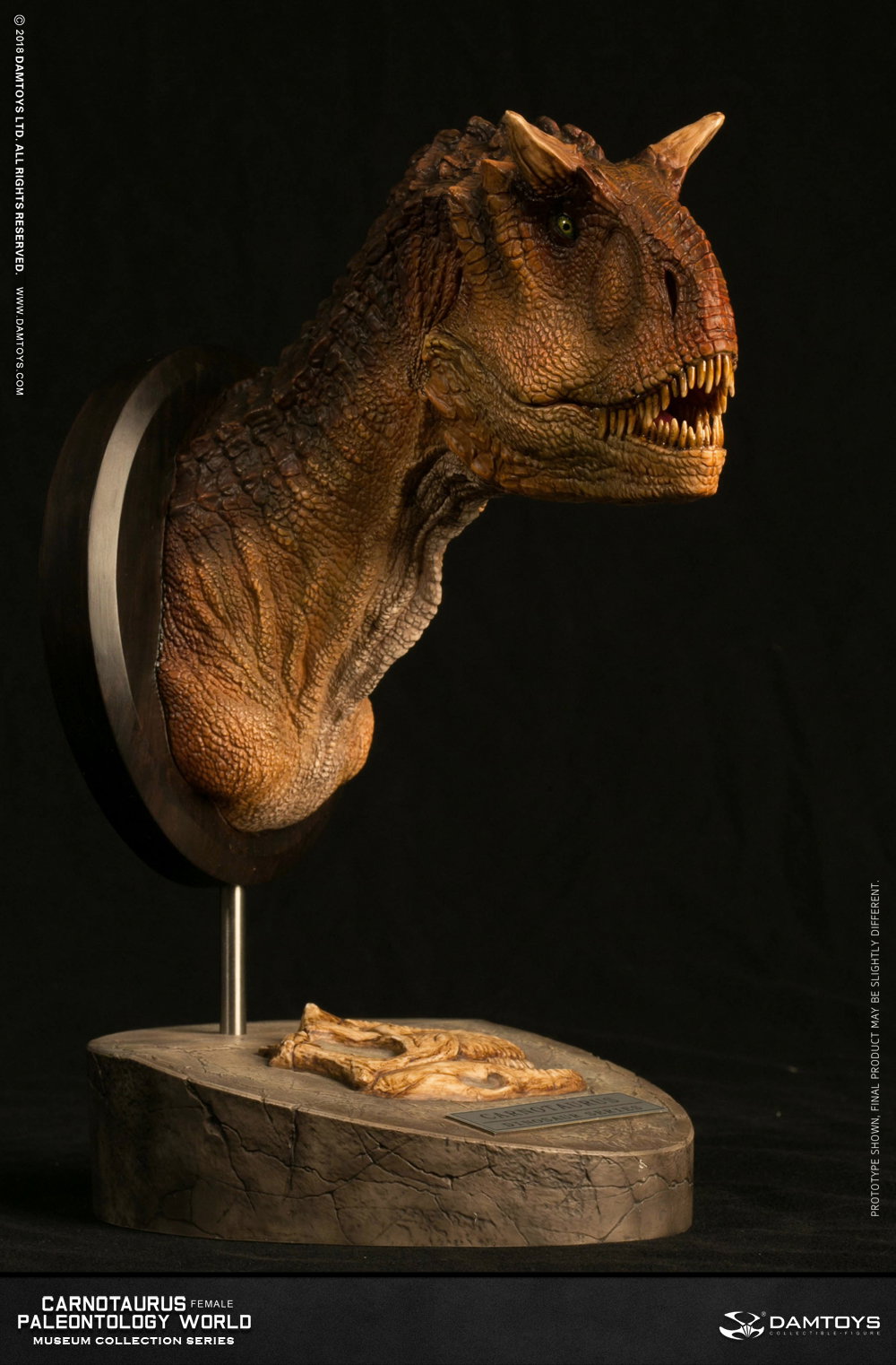 Carnotaurus (female) head statue, collector's item - MUS006A/B image 7