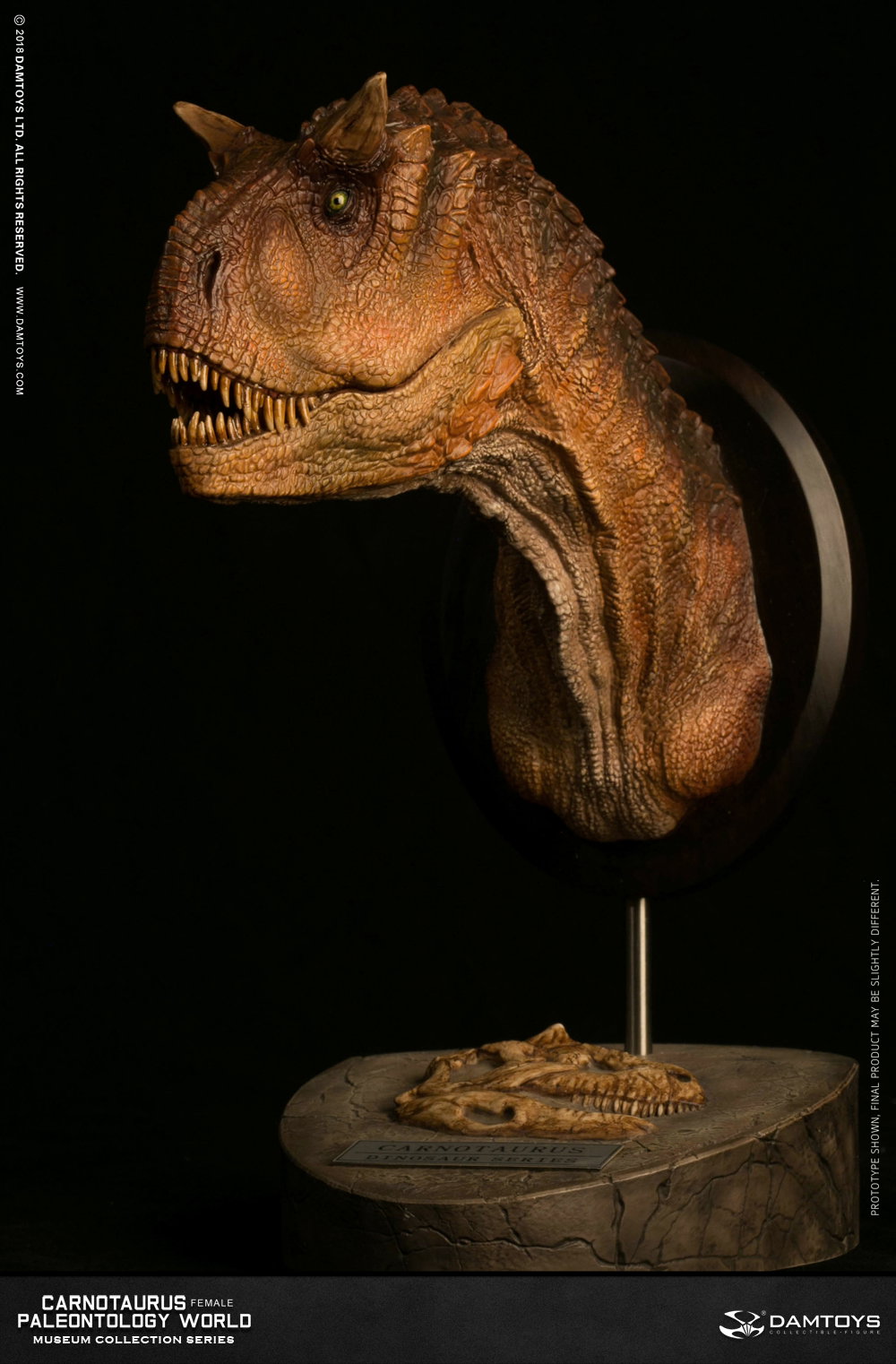Carnotaurus (female) head statue, collector's item - MUS006A/B image 8