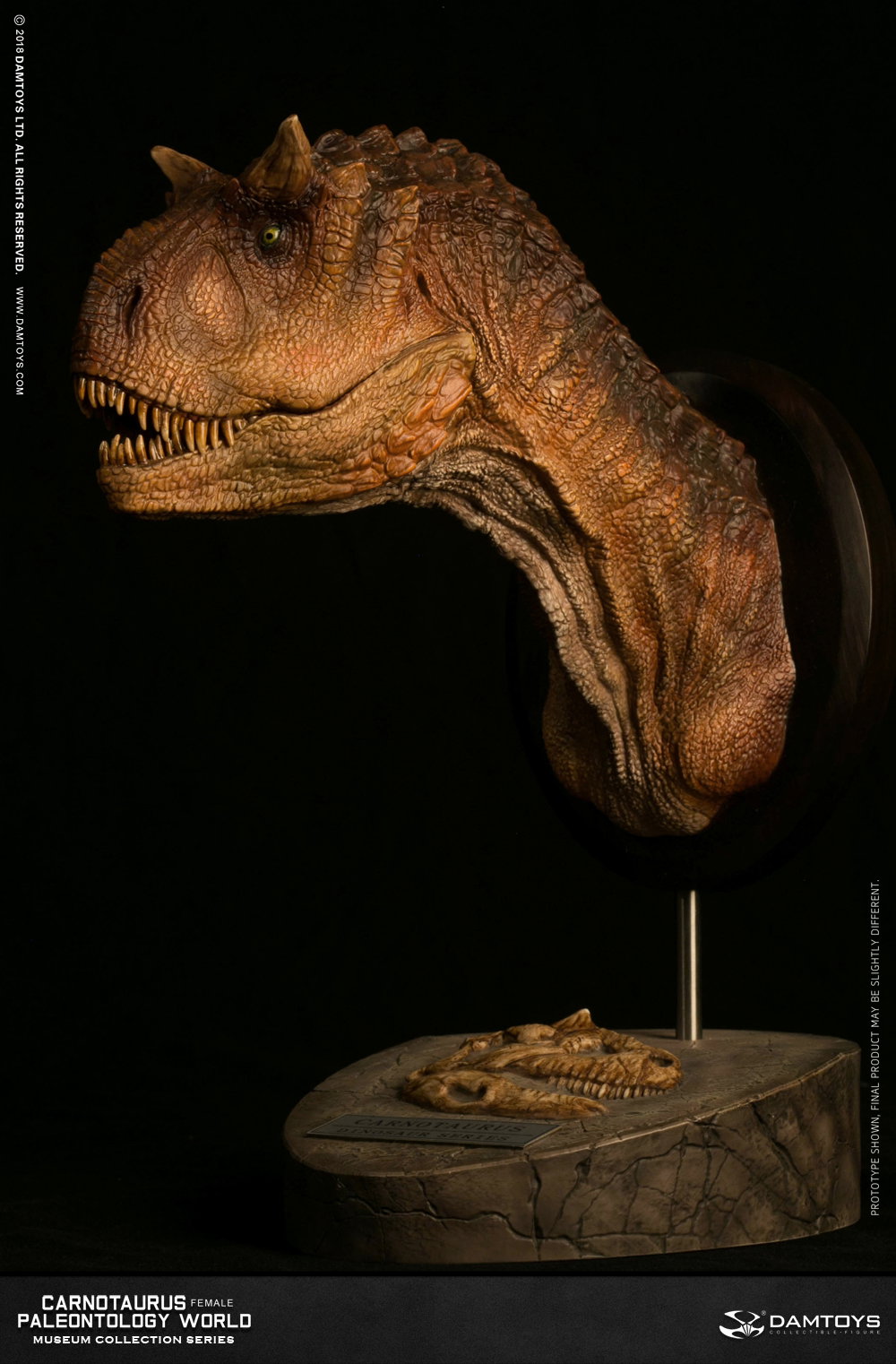 Carnotaurus (female) head statue, collector's item - MUS006A/B image 9