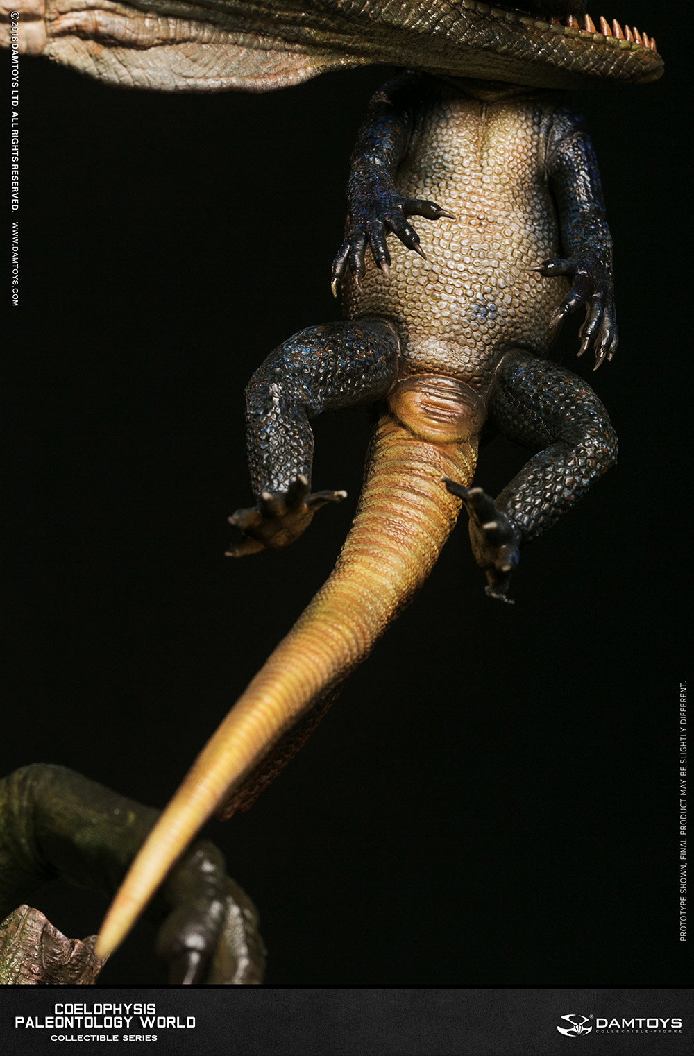 Coelophysis Collector's Statue - MUS008 A/B image 10
