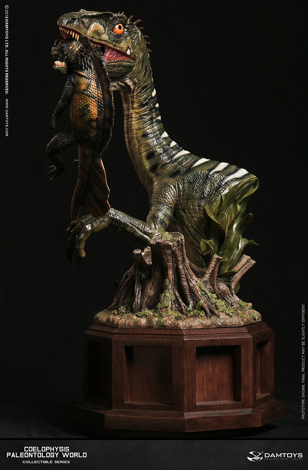 Coelophysis Collector's Statue - MUS008 A/B image 3