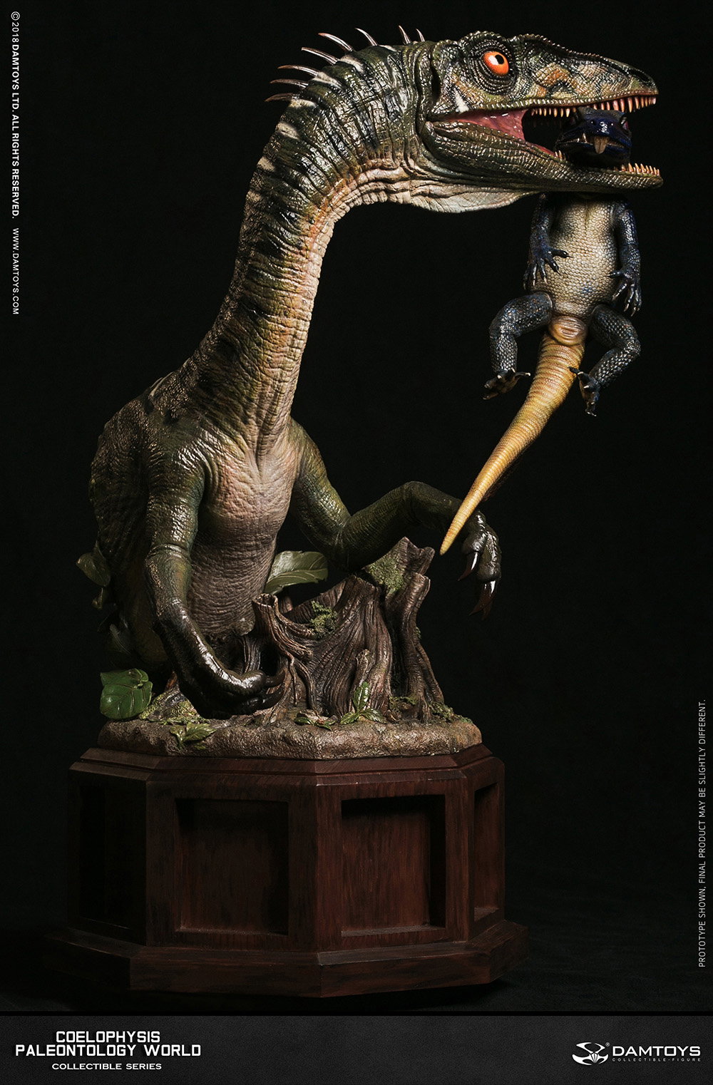 Coelophysis Collector's Statue - MUS008 A/B image 5