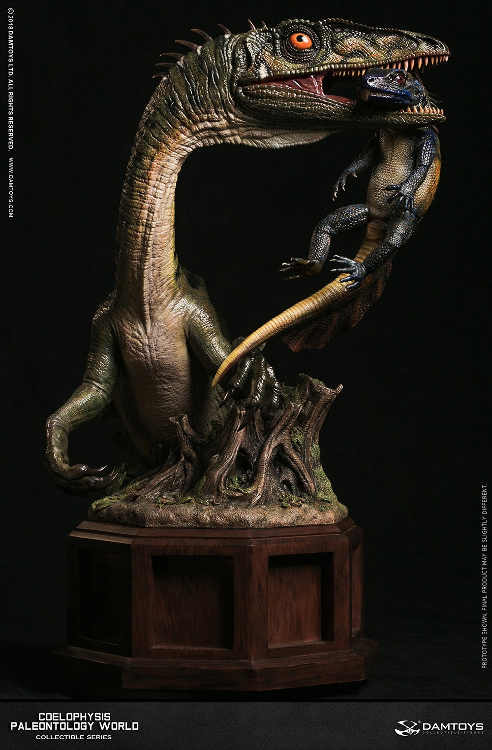 Coelophysis Collector's Statue - MUS008 A/B image 6