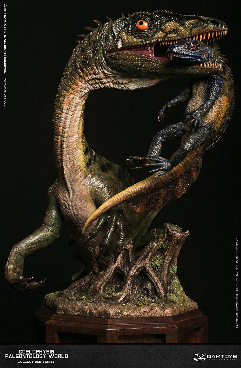 Coelophysis Collector's Statue - MUS008 A/B image 7