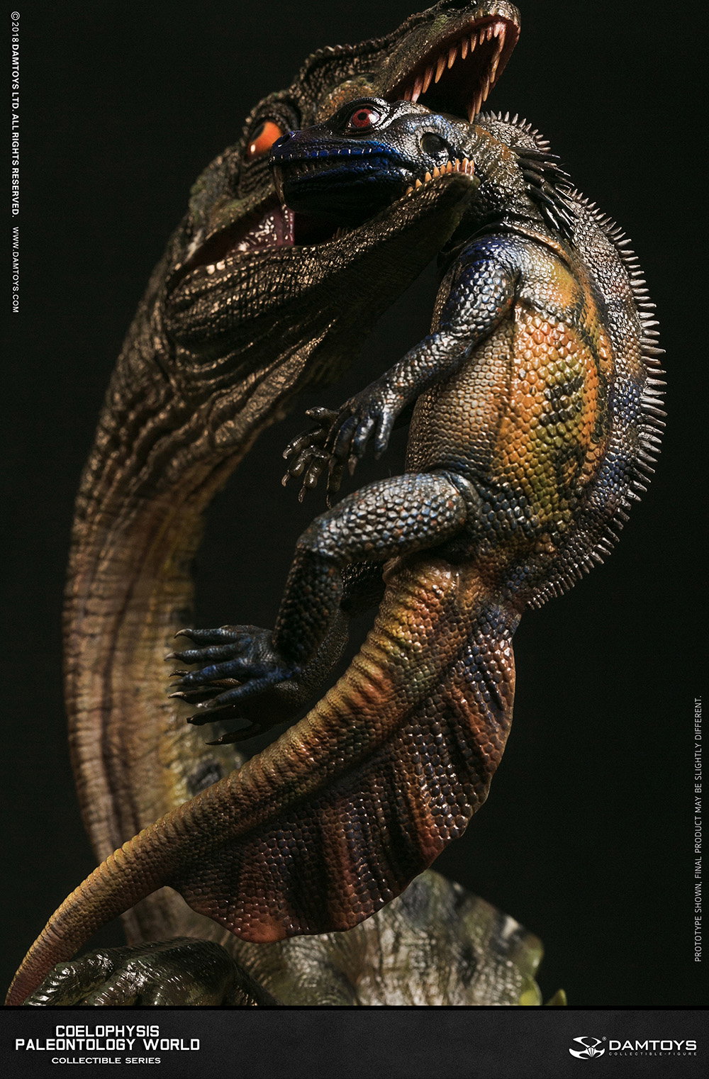 Coelophysis Collector's Statue - MUS008 A/B image 8