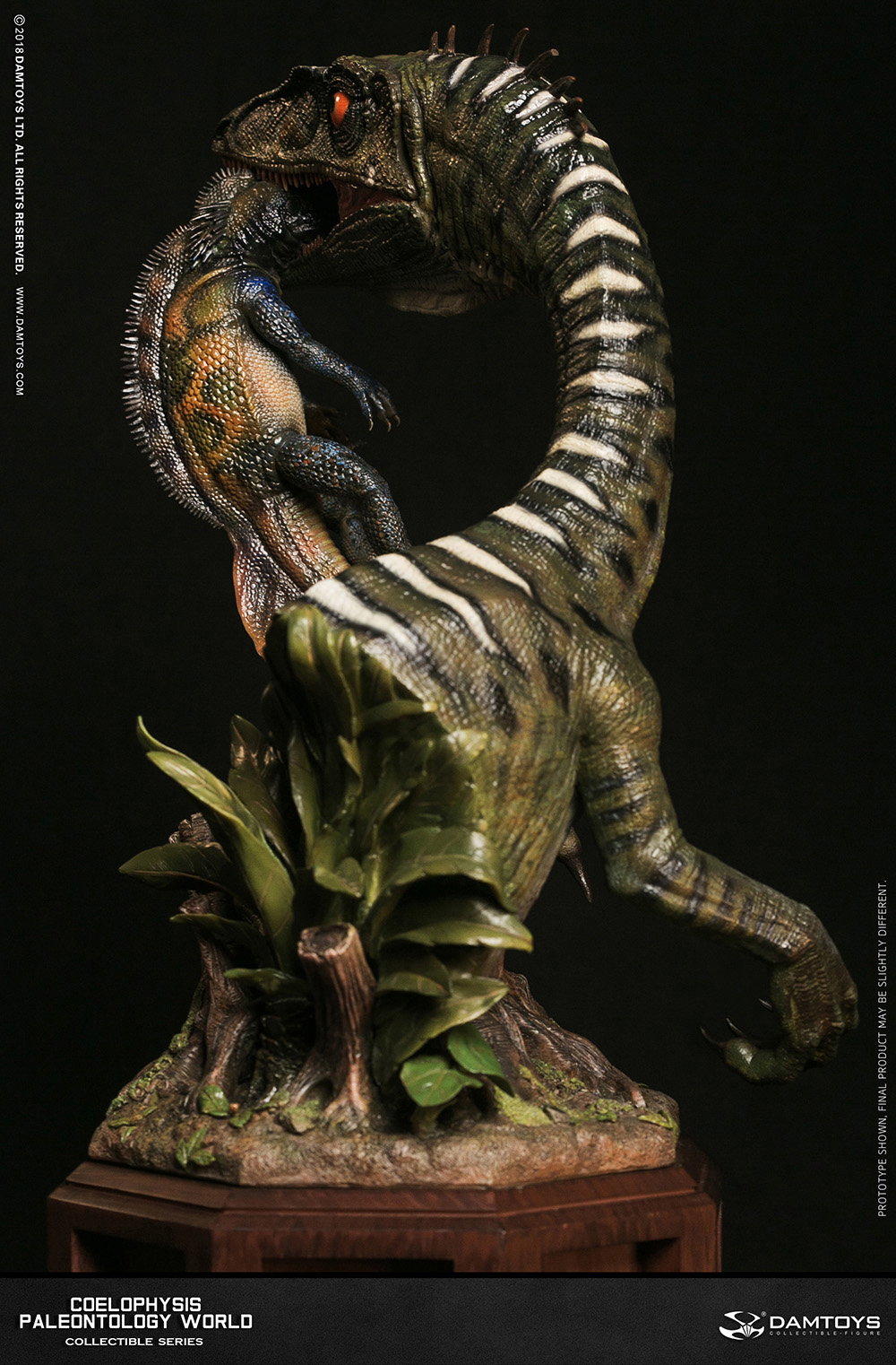 Coelophysis Collector's Statue - MUS008 A/B image 9