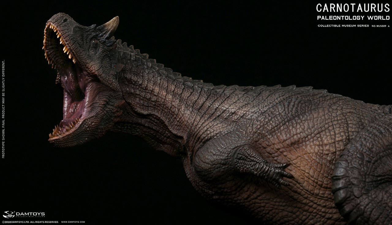 Carnivorous Carnotaurus Full-Body Scene Statue - MUS009 A/B image 4