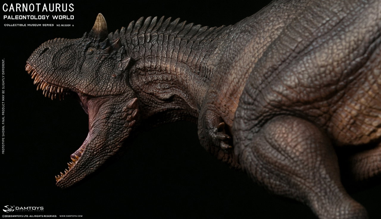 Carnivorous Carnotaurus Full-Body Scene Statue - MUS009 A/B image 5