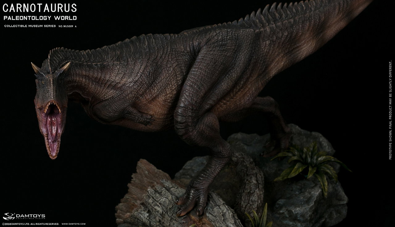 Carnivorous Carnotaurus Full-Body Scene Statue - MUS009 A/B image 6