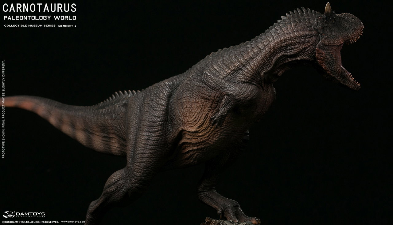 Carnivorous Carnotaurus Full-Body Scene Statue - MUS009 A/B image 7