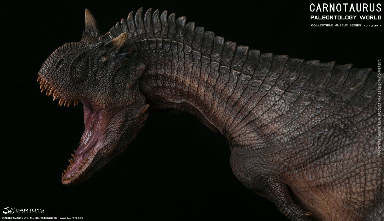 Carnivorous Carnotaurus Full-Body Scene Statue - MUS009 A/B image 8