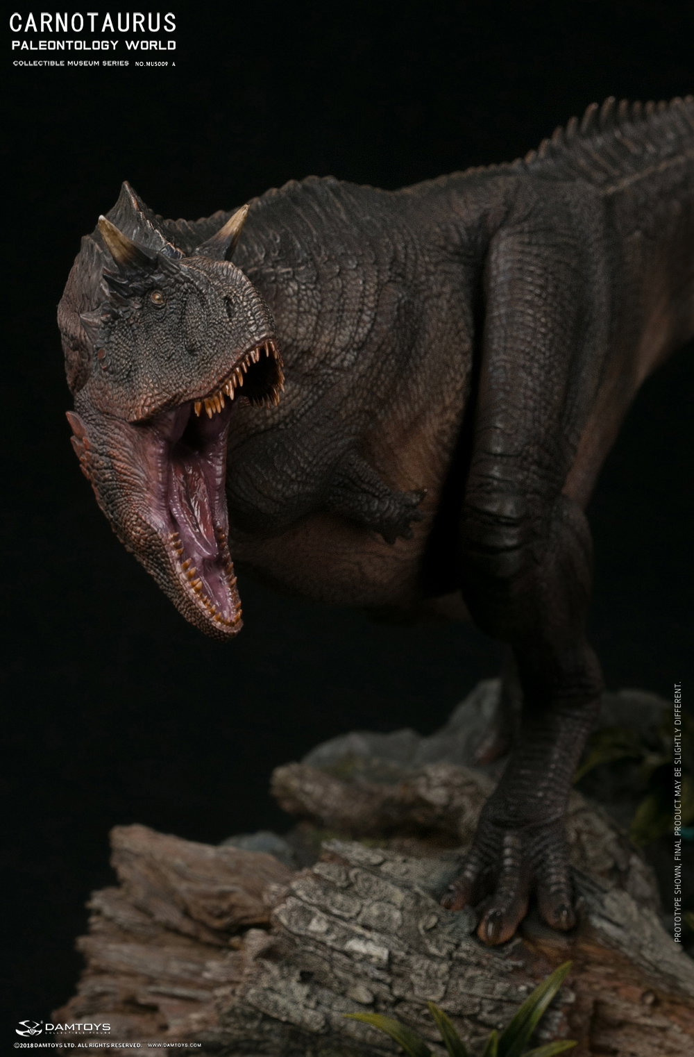 Carnivorous Carnotaurus Full-Body Scene Statue - MUS009 A/B image 9