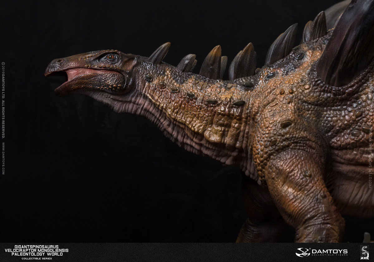 Spinosaurus and Inner Mongolian Raptor Statue - MUS011/A/B/EX image 10