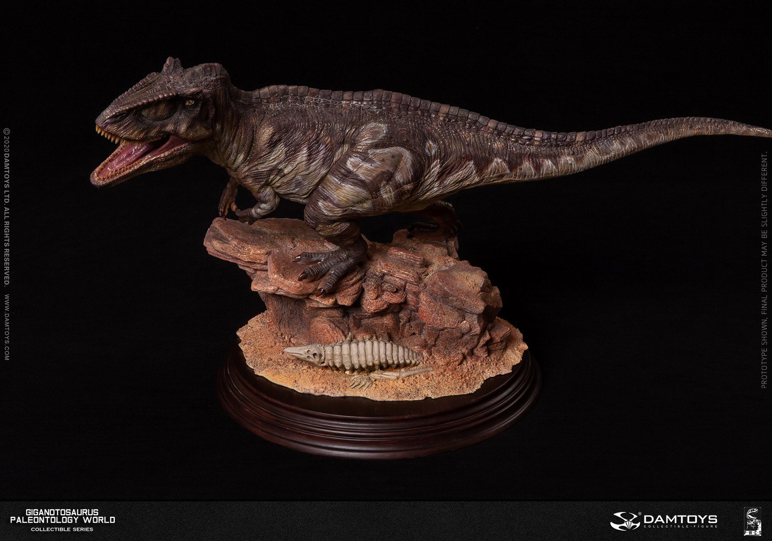Giganotosaurus Statue image 10