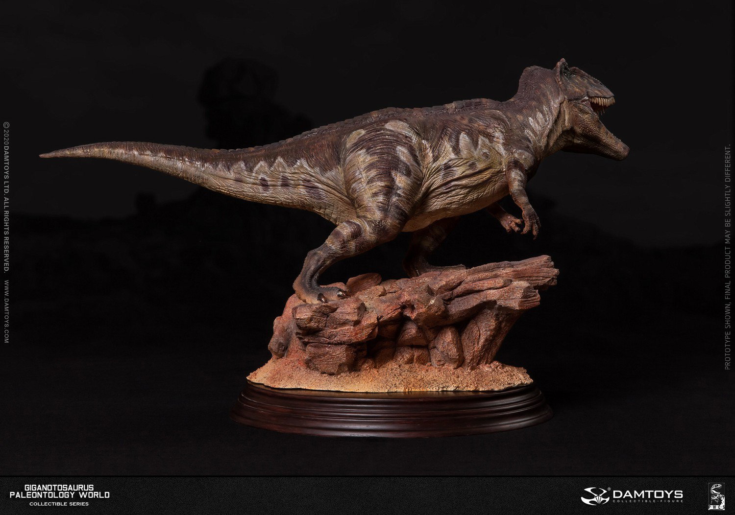Giganotosaurus Statue image 4
