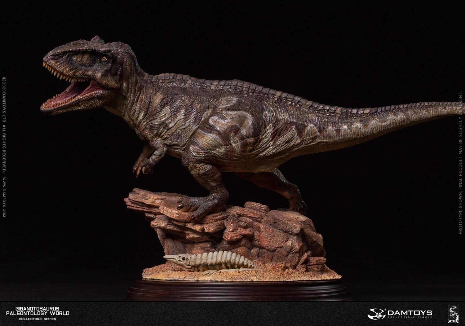 Giganotosaurus Statue image 9