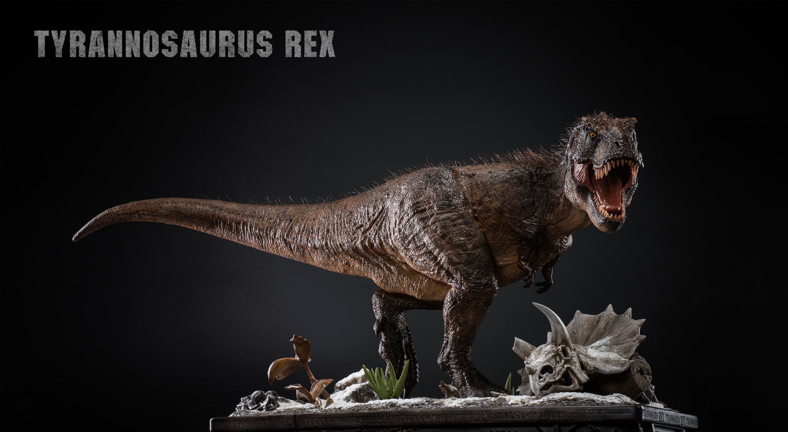 Tyrannosaurus Rex image 10