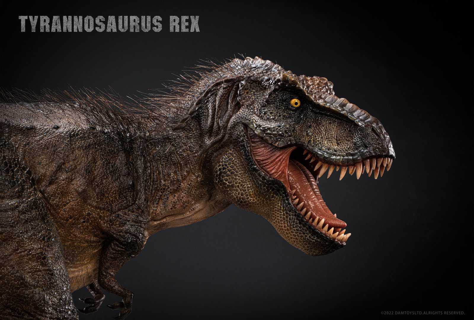 Tyrannosaurus Rex image 3
