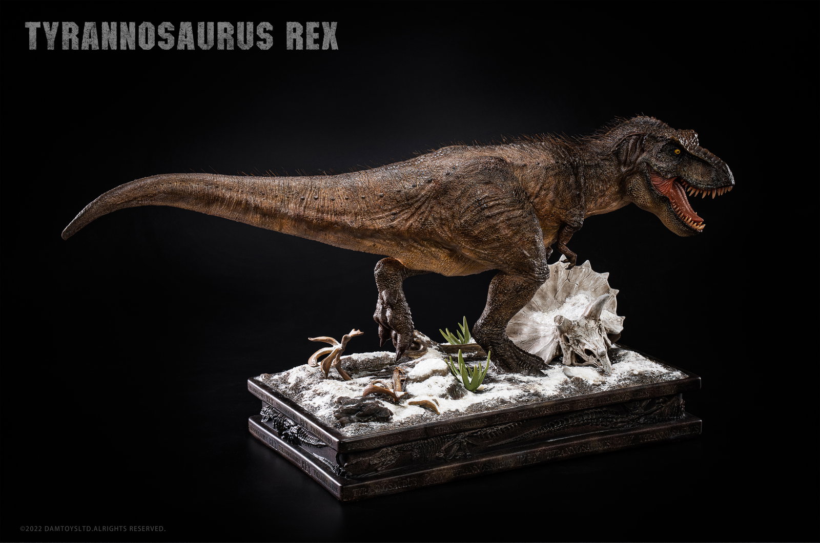 Tyrannosaurus Rex image 4