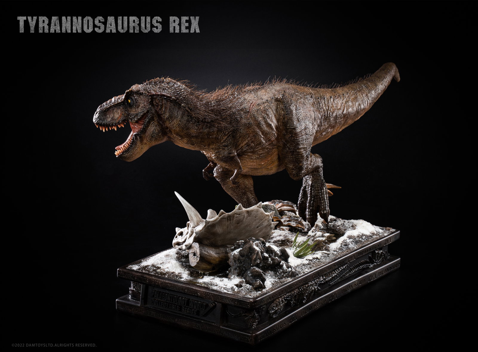 Tyrannosaurus Rex image 5