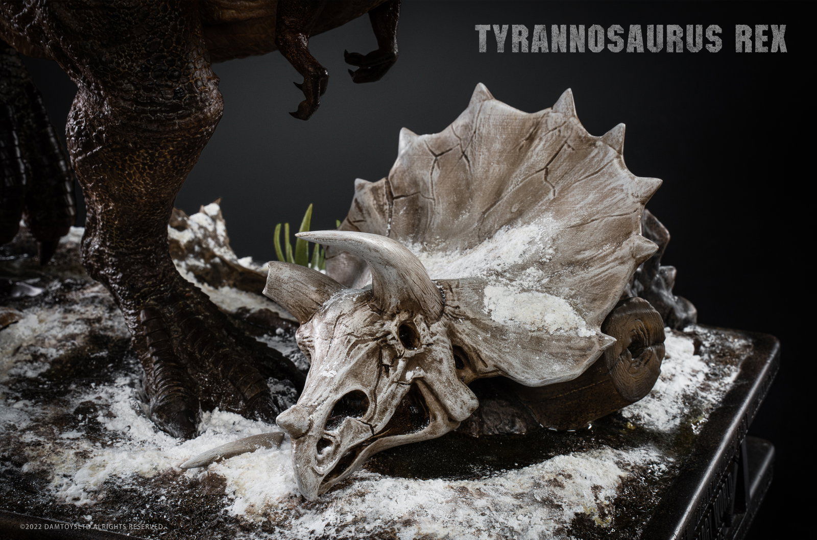 Tyrannosaurus Rex image 6