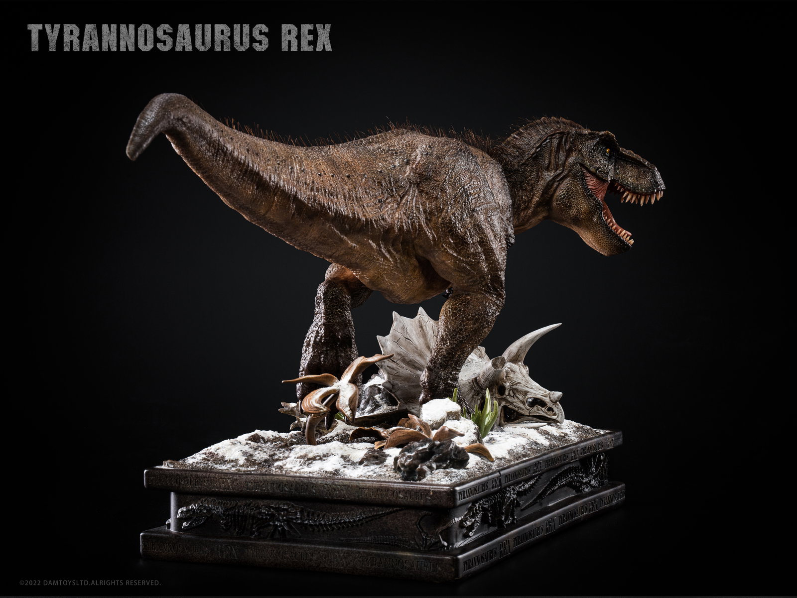 Tyrannosaurus Rex image 8