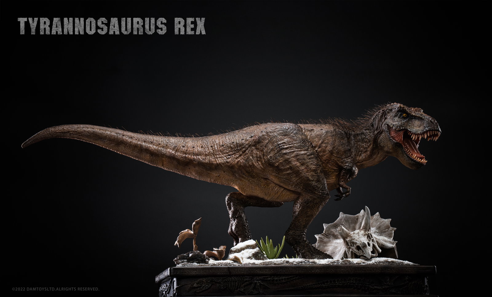 Tyrannosaurus Rex image 9