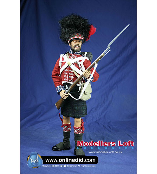 Angus image 6