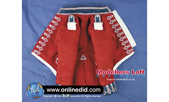 Angus image 9