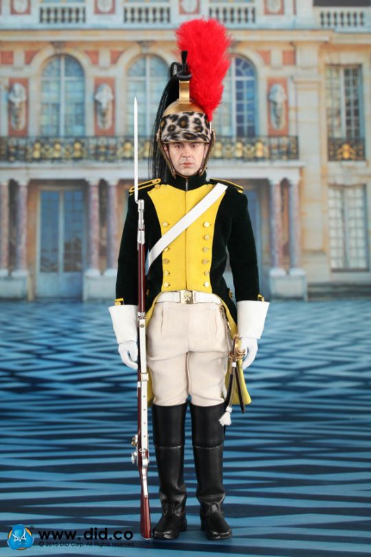 Napoleonic French Dragoon - Hervé image 2