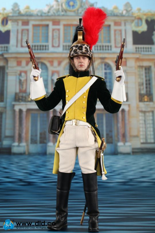Napoleonic French Dragoon - Hervé image 8