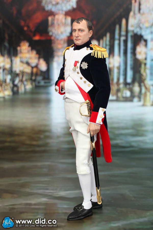 Emperor Of The French - Napoleon Bonaparte image 10