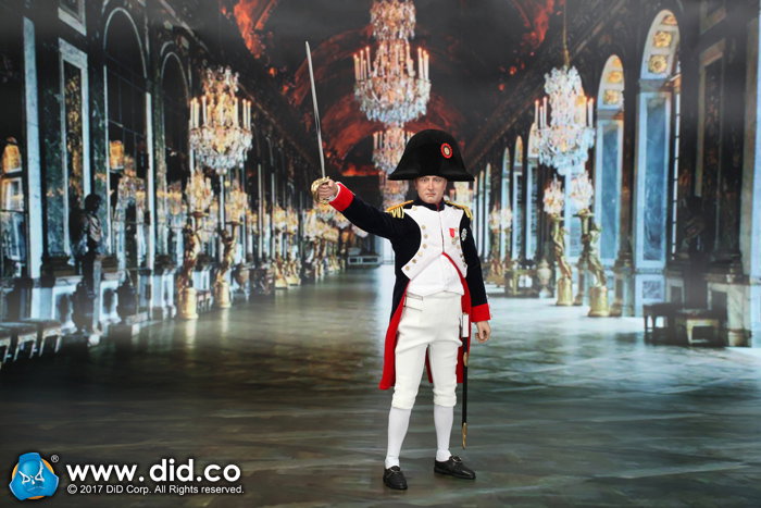 Emperor Of The French - Napoleon Bonaparte image 8