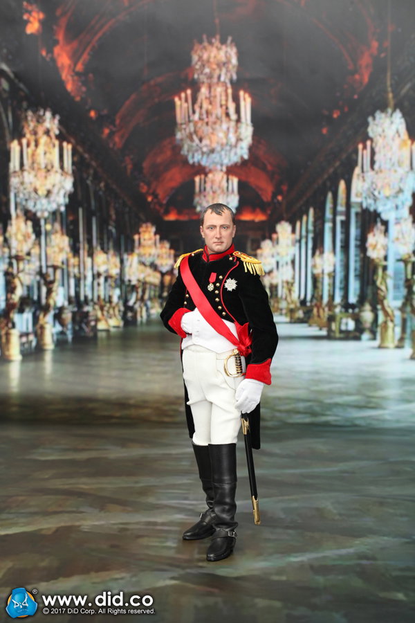 Emperor Of The French - Napoleon Bonaparte (Battle Version) image 5