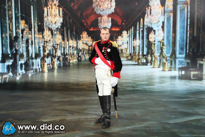 Emperor Of The French - Napoleon Bonaparte (Battle Version) image 6