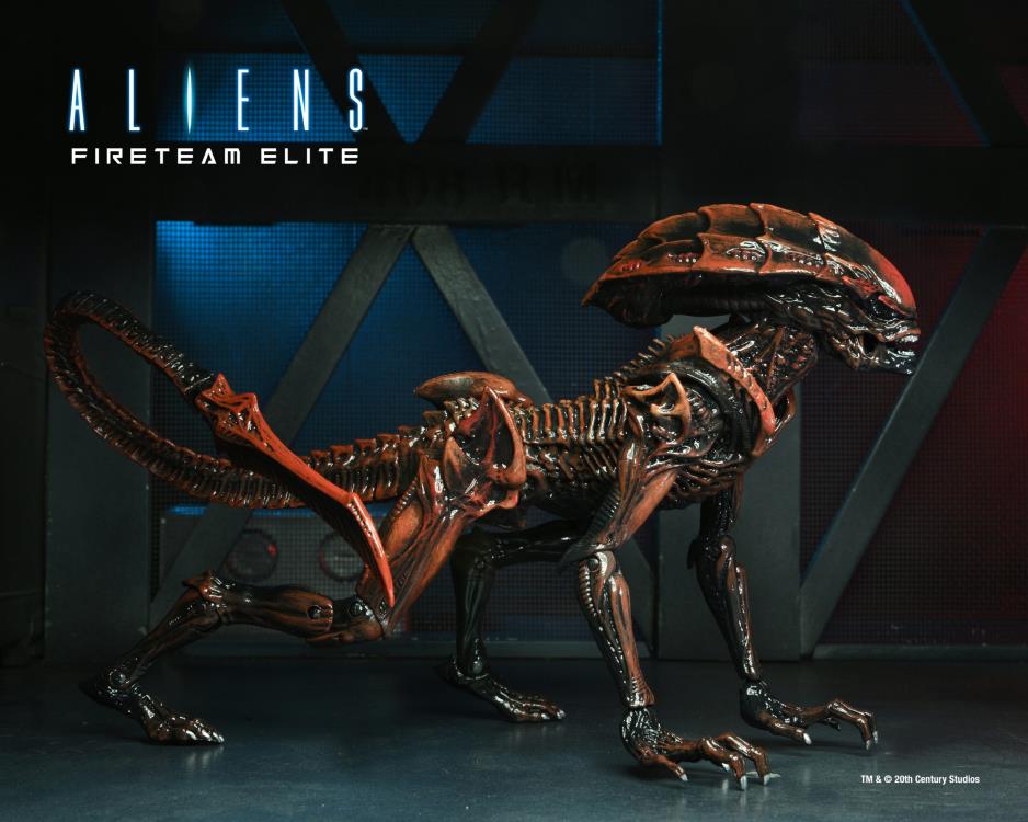 Aliens: Fireteam Elite Series 1 Set of 2 Figures image 3