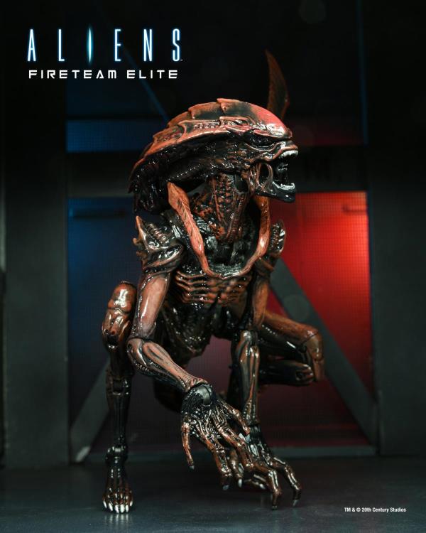 Aliens: Fireteam Elite Series 1 Set of 2 Figures image 4