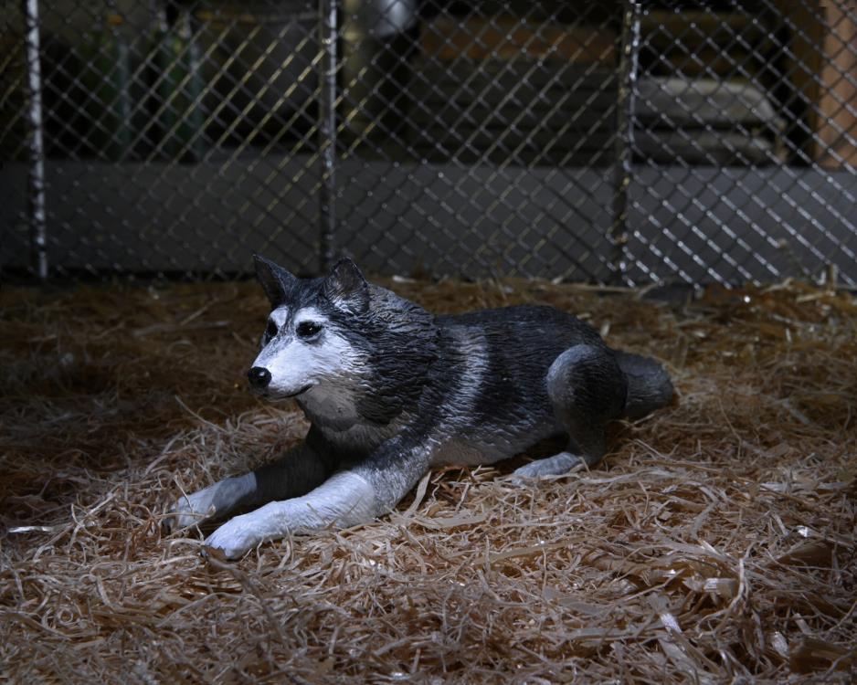 The Thing Ultimate Dog Creature Set image 3