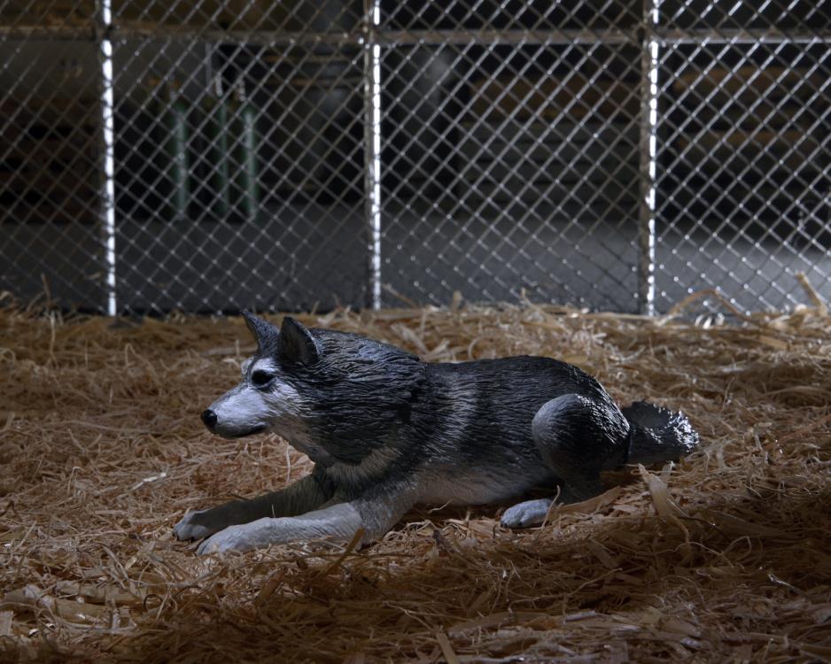 The Thing Ultimate Dog Creature Set image 5