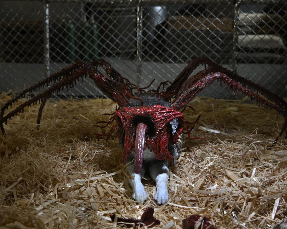 The Thing Ultimate Dog Creature Set image 9