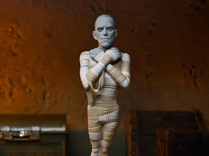 Universal Monsters Toony Terrors The Mummy image 1