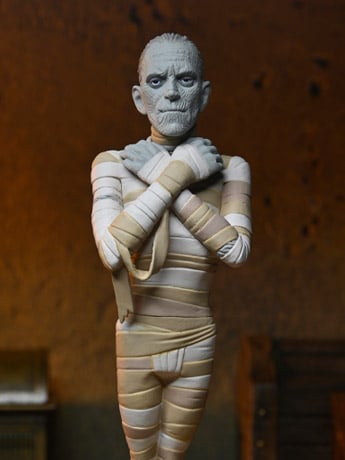 Universal Monsters Toony Terrors The Mummy image 2