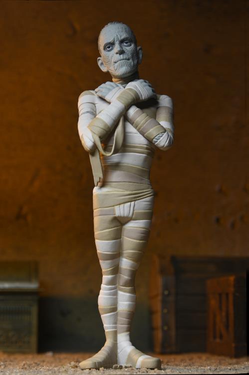 Universal Monsters Toony Terrors The Mummy image 4