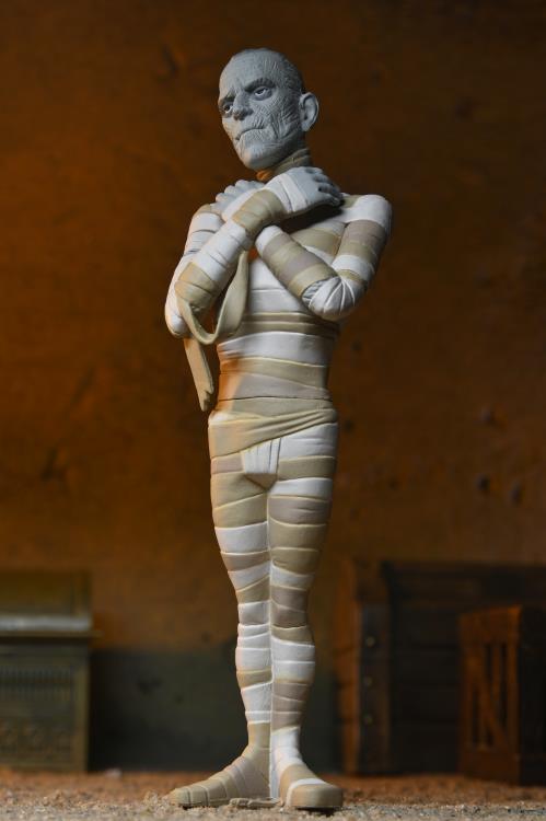 Universal Monsters Toony Terrors The Mummy image 5