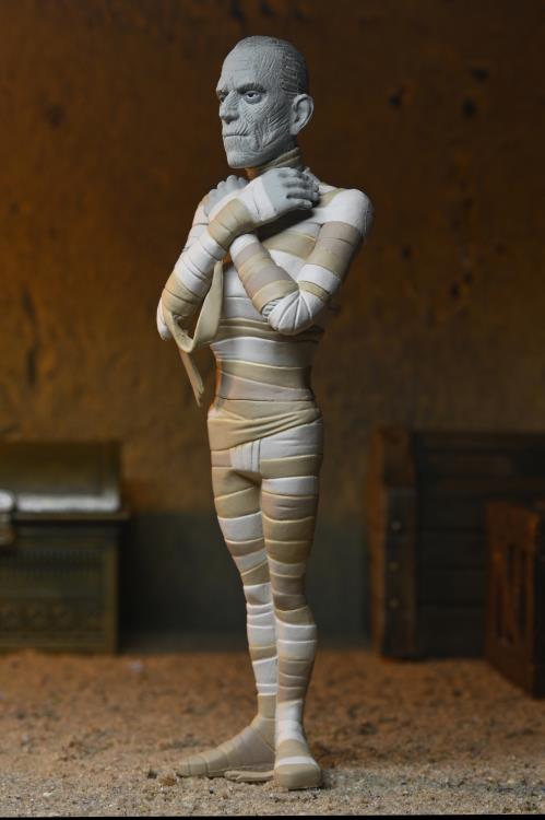 Universal Monsters Toony Terrors The Mummy image 6
