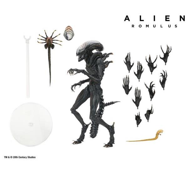 Alien: Romulus Ultimate Scorched Alien Xenomorph image 10
