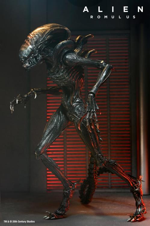 Alien: Romulus Ultimate Scorched Alien Xenomorph image 3