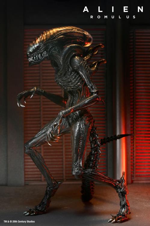 Alien: Romulus Ultimate Scorched Alien Xenomorph image 4