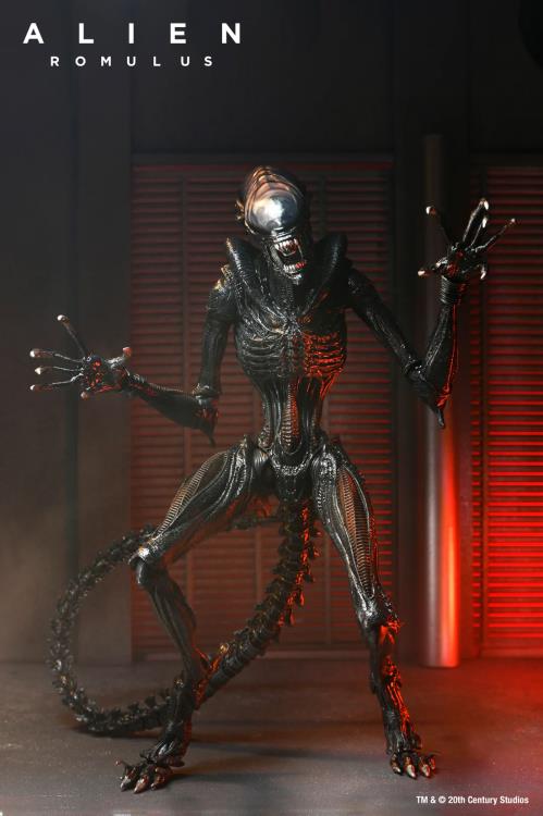 Alien: Romulus Ultimate Scorched Alien Xenomorph image 5